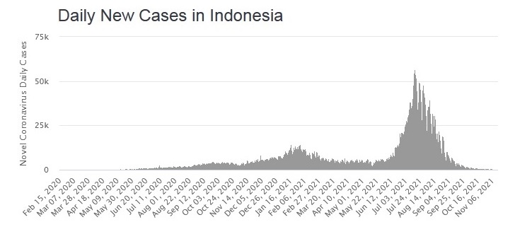 How to end the pandemic - Indonesia